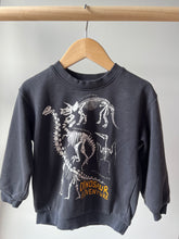 Load image into Gallery viewer, H&amp;M Dino Crewneck 2-4Y
