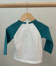 Load image into Gallery viewer, Succulent Top 6-9M
