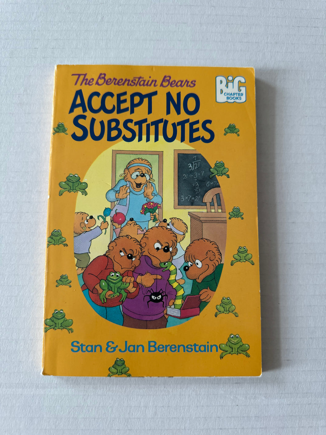 Vintage Berenstain Bears Accept No Substitutes