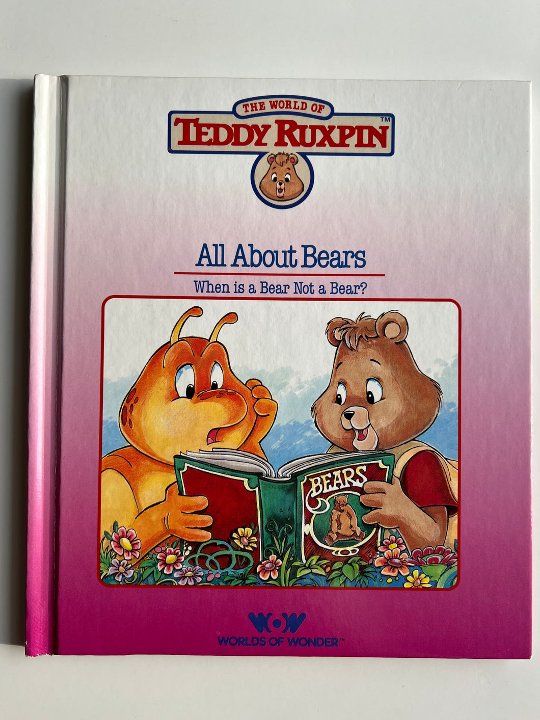 Vintage The World of Teddy Ruxpin All About Bears